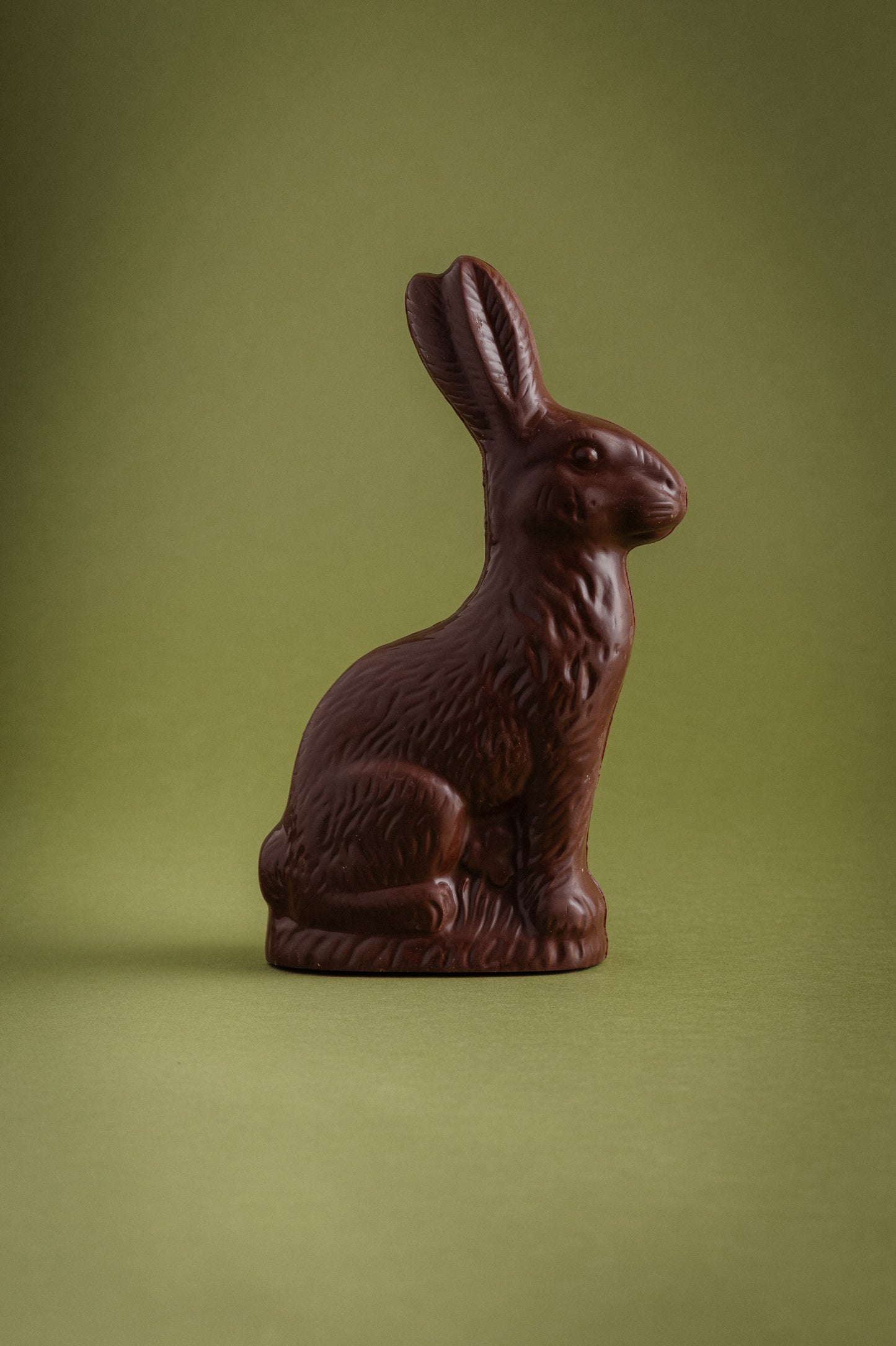 Pack Conejo de Chocolate M + Conejo de Chocolate XL